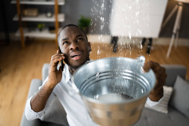 Best 24/7 water damage repair  in Chevy Chase View, MD