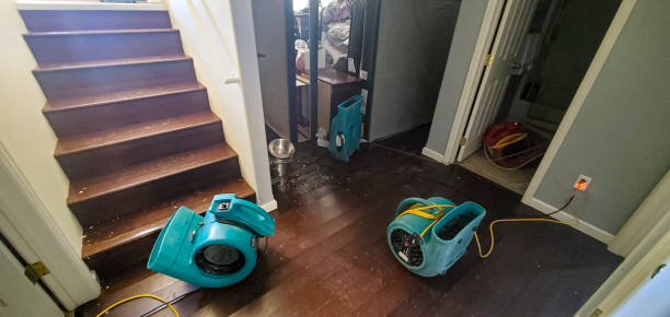 Best 24-hour water damage restoration  in Chevy Chase View, MD