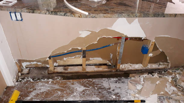 Best Ceiling water damage repair  in Chevy Chase View, MD